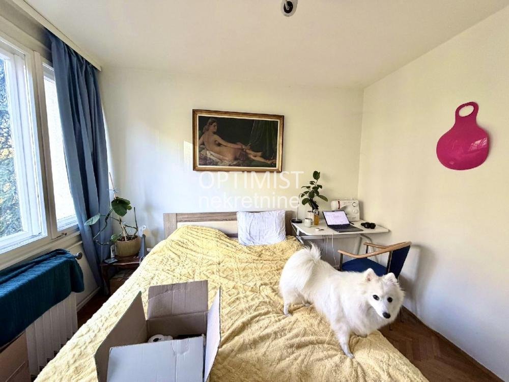 Tašmajdan-Pet friendly- 2.5 ID#3217