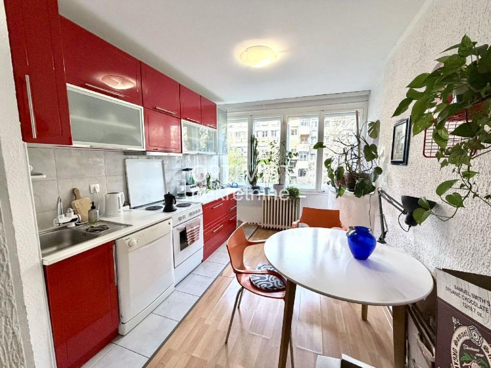 Tašmajdan-Pet friendly- 2.5 ID#3217