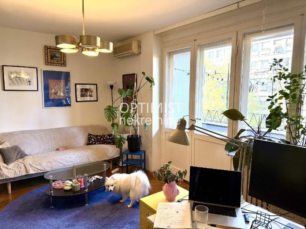 Tašmajdan-Pet friendly- 2.5 ID#3217