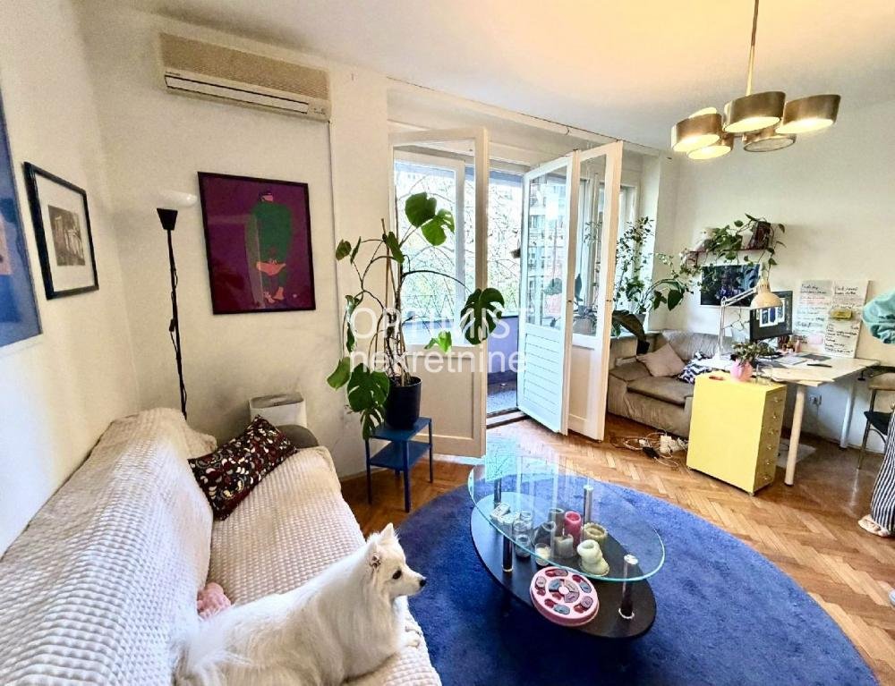 Tašmajdan-Pet friendly- 2.5 ID#3217