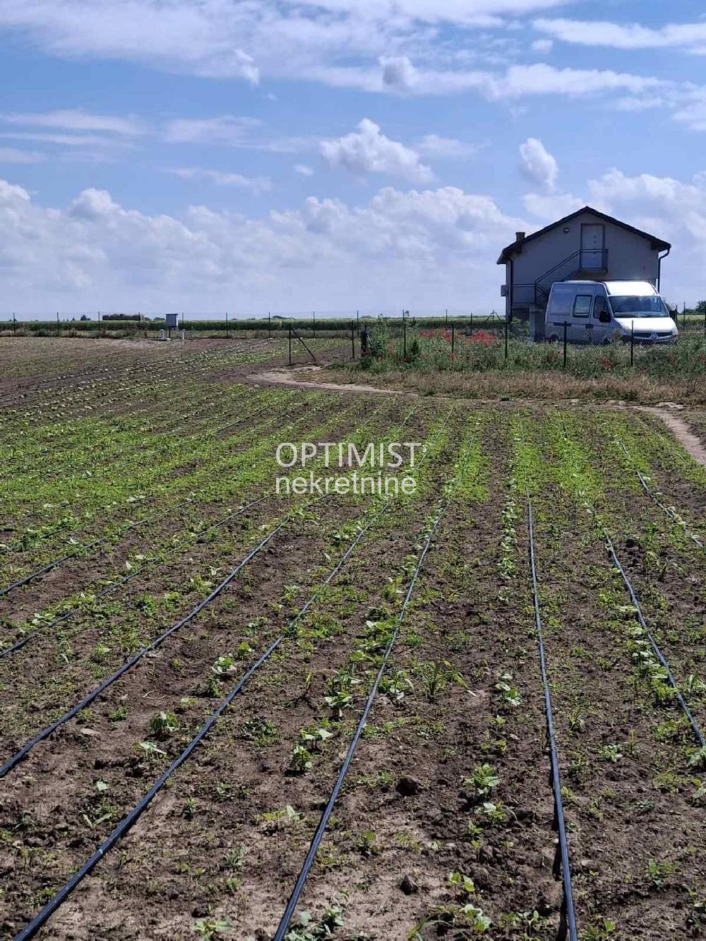 Plac 1.5 hektar, plastenik u radu i kuca ID#3482