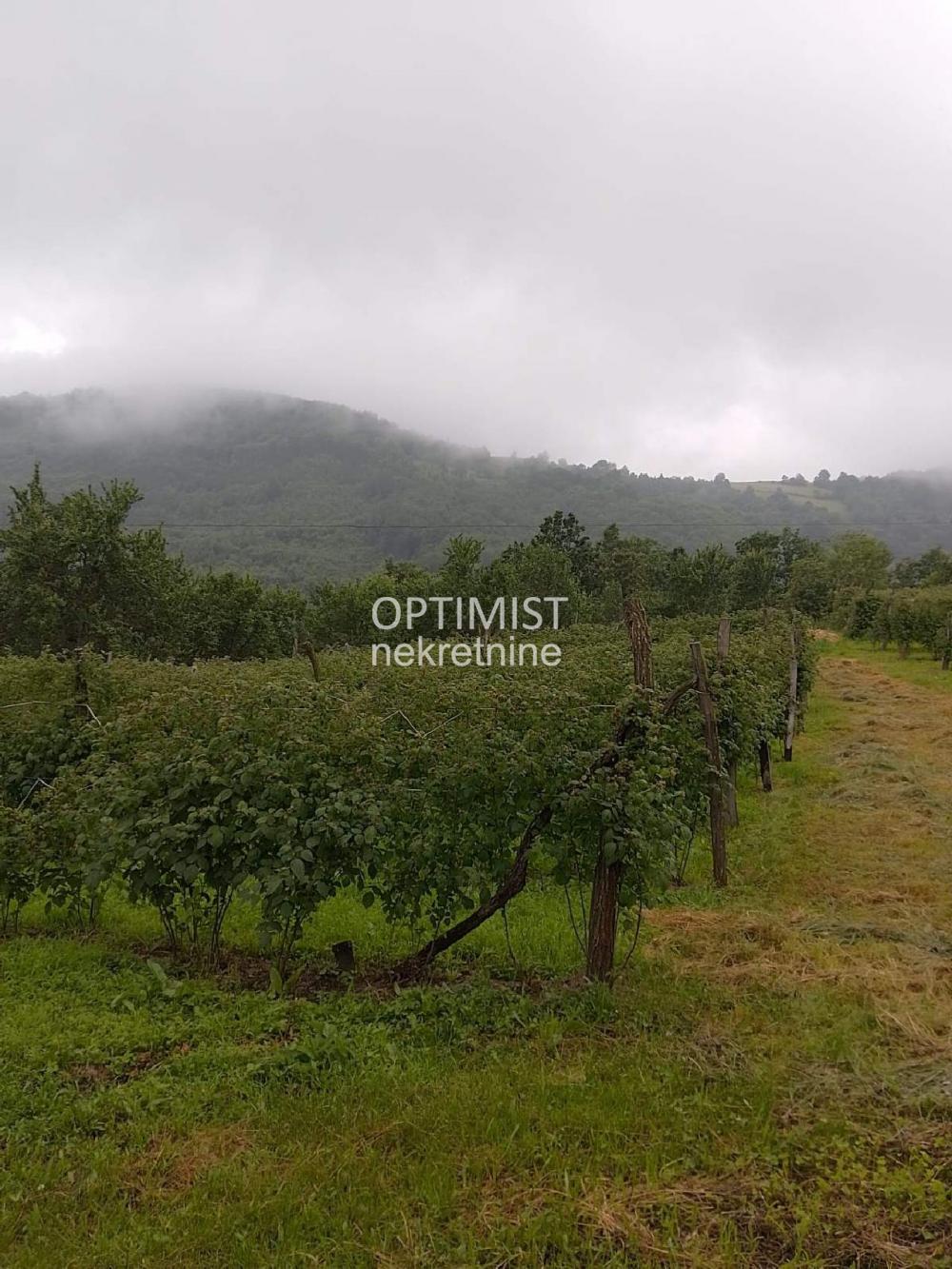 Ivanjica - Kušići - 20.90 ari ID#3628