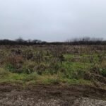 01 Plac Bečmen Gaje Jovanovića