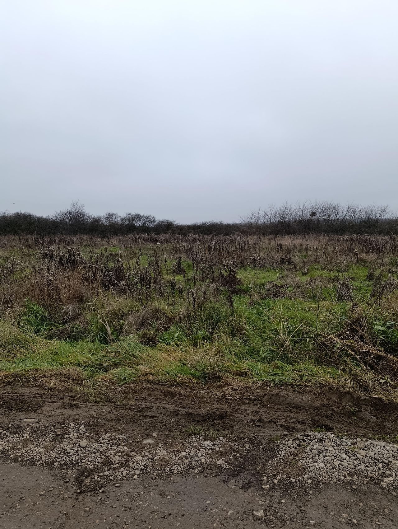 01 Plac Bečmen Gaje Jovanovića