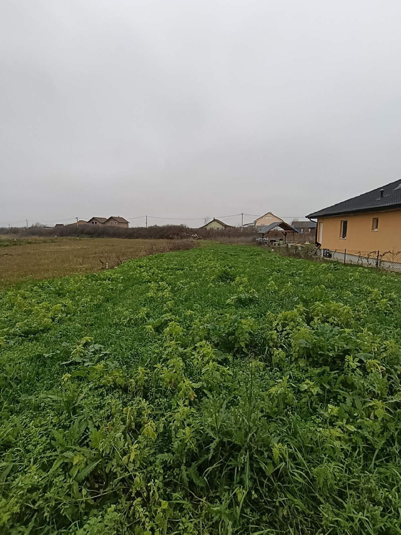 01 Plac Bečmen Petra Jovanovića