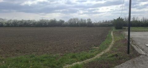 01 Plac Petrovčić Brestovačka