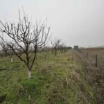 01 Plac Ugrinovci Nova 28