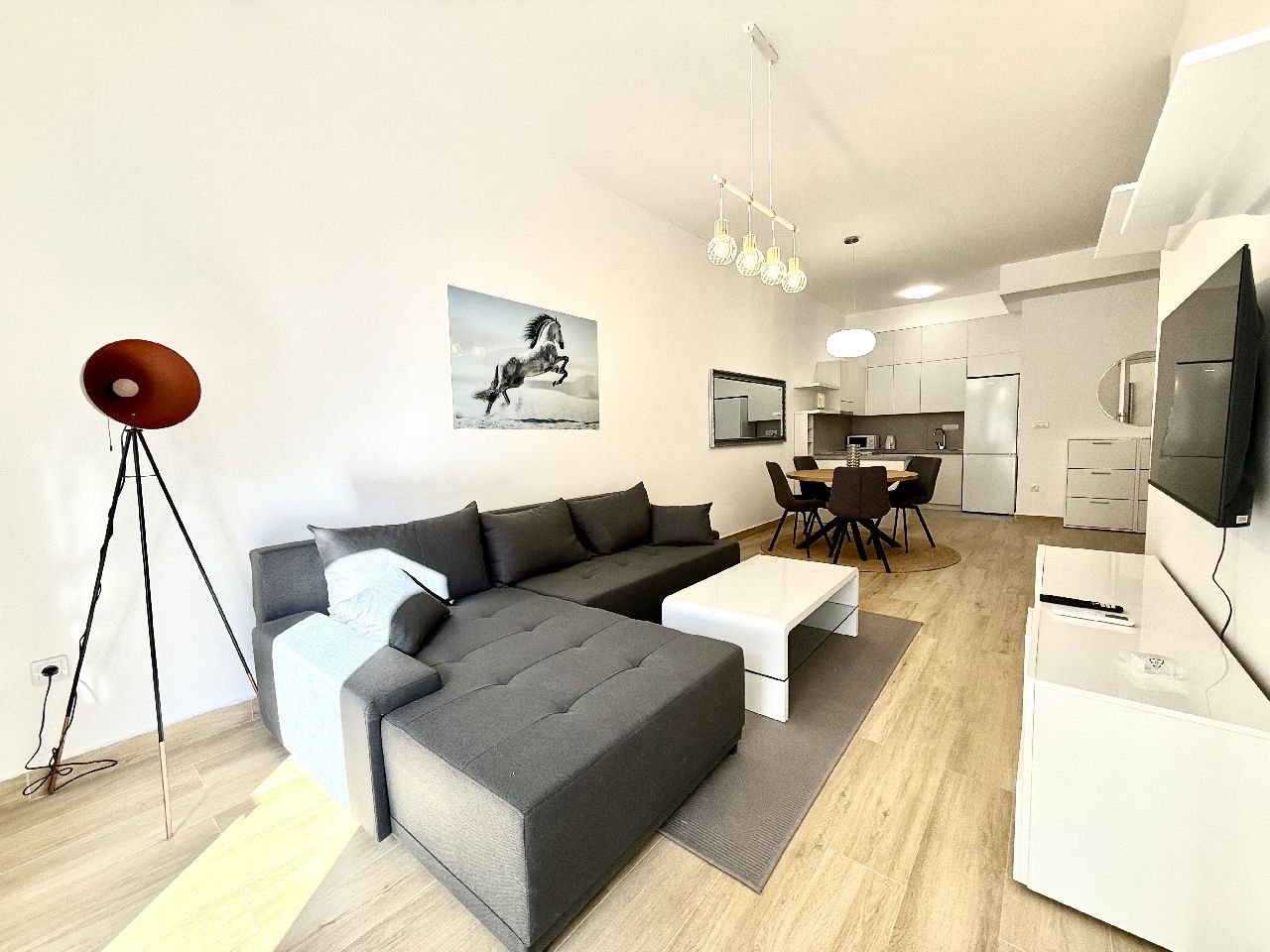 01 Stan Palilula Cvijićeva