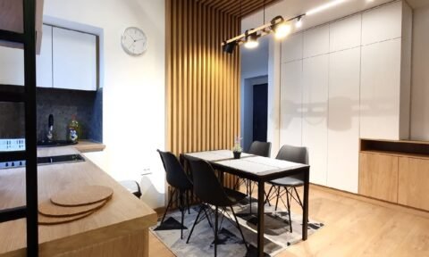 01 Stan Stari Grad Bulevar Despota Stefana