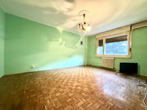 01 Stan Zemun Blagoja Jovovića