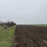 02 Plac Ugrinovci Nova 28