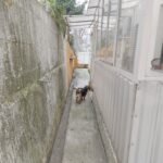 02 Stan Žarkovo Rajka Ružića