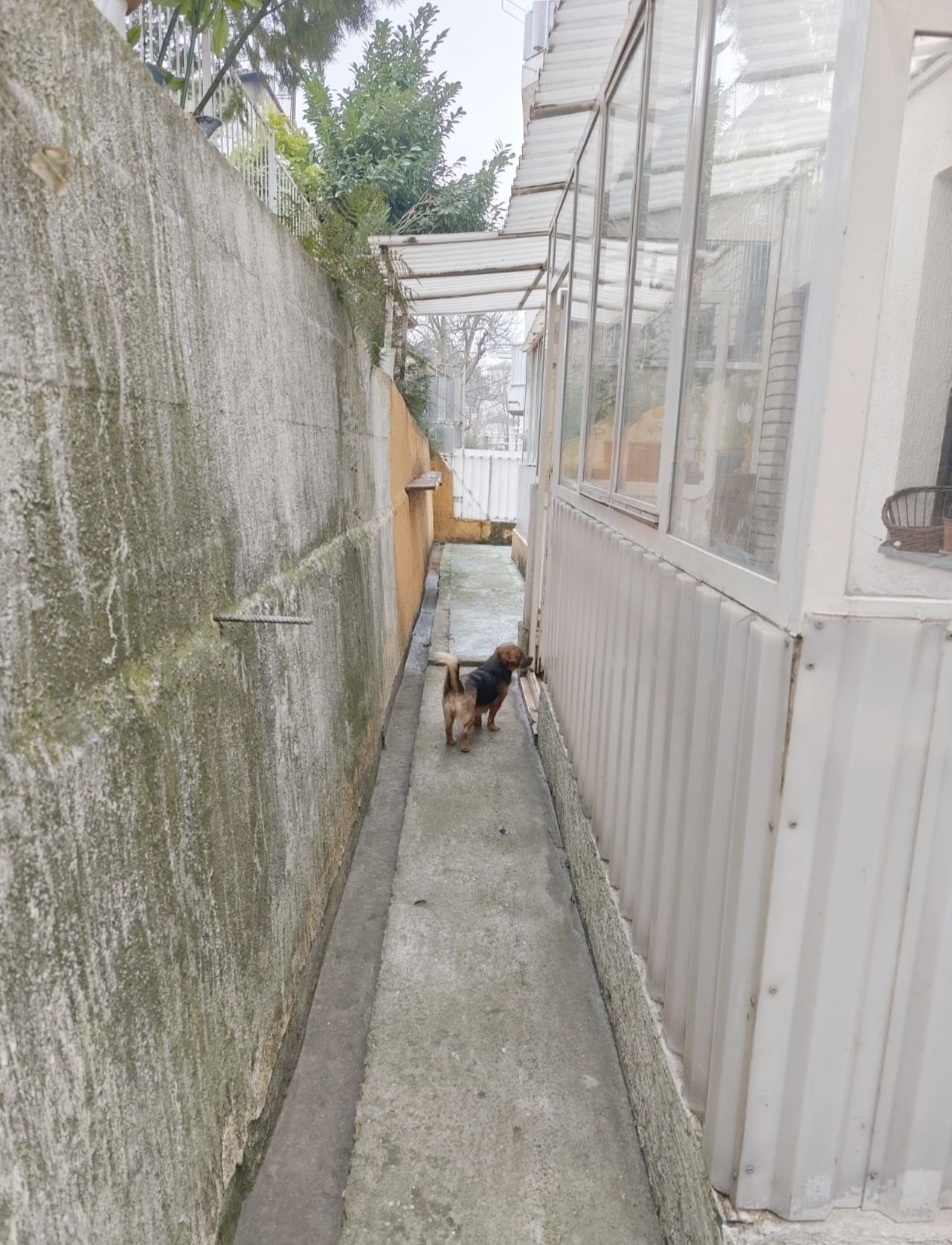 02 Stan Žarkovo Rajka Ružića