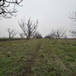 03 Plac Ugrinovci Nova 28