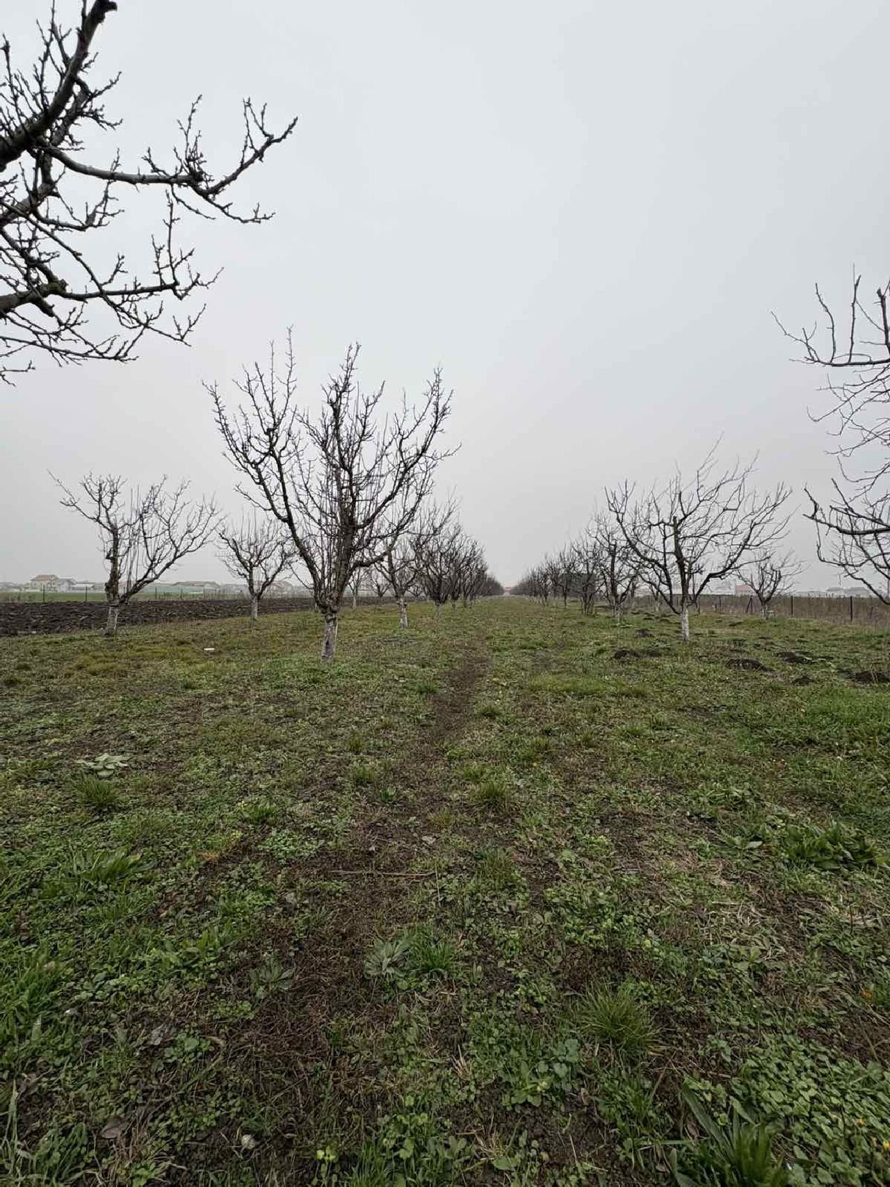 03 Plac Ugrinovci Nova 28