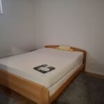 03 Stan Batajnica Braće Mihajlović Tripić