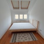 03 Stan Savski Venac Jelene Cvetković