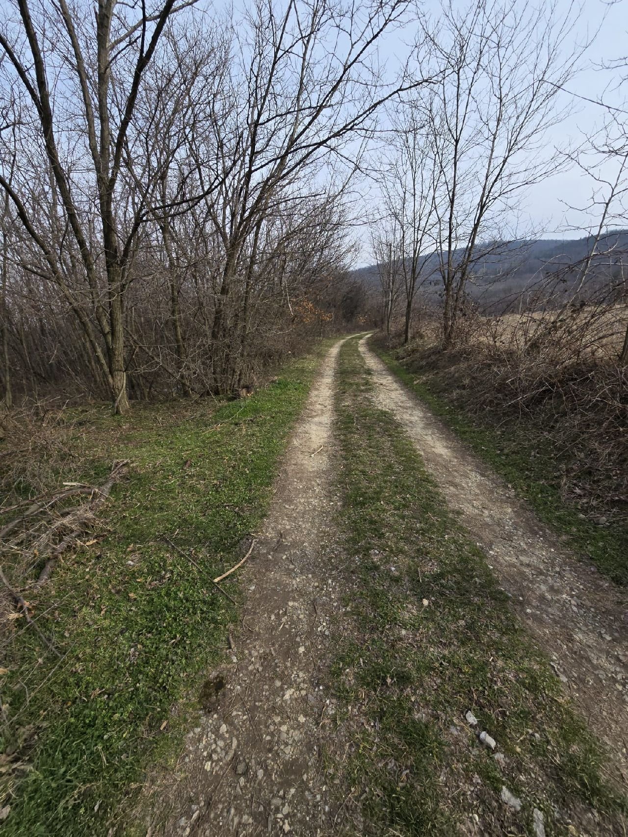 04 Plac Sopot Nemenikuće