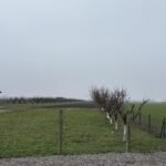 04 Plac Ugrinovci Nova 28