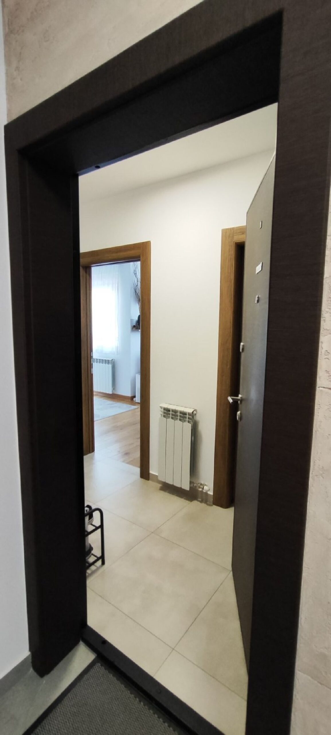 04 Stan Ledine Stevana Jakovljevića