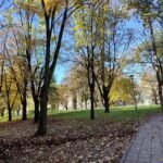 04 Stan Voždovac Piva Karamatijevića