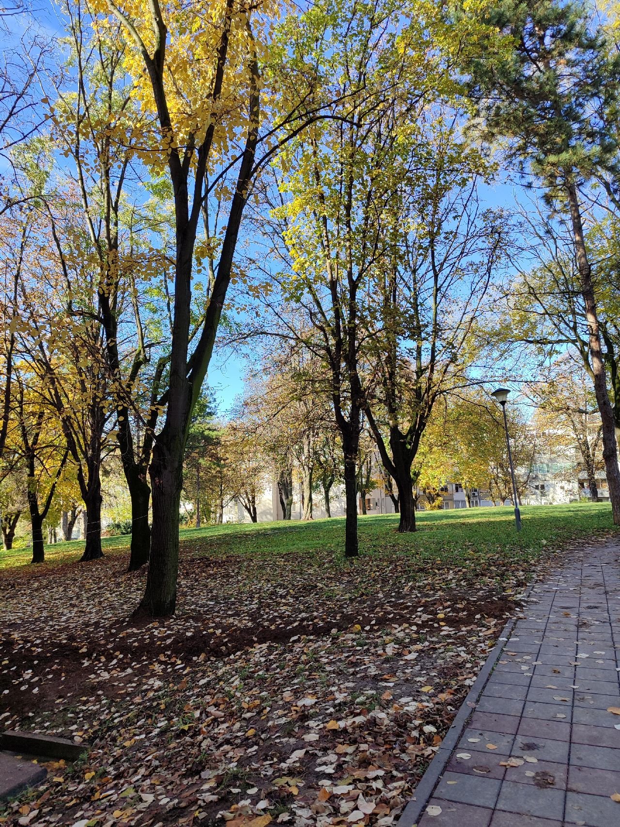 04 Stan Voždovac Piva Karamatijevića