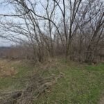 05 Plac Sopot Nemenikuće