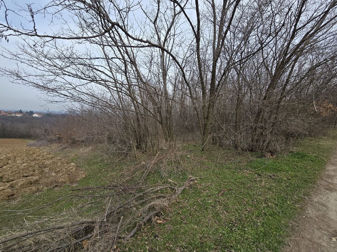 05 Plac Sopot Nemenikuće