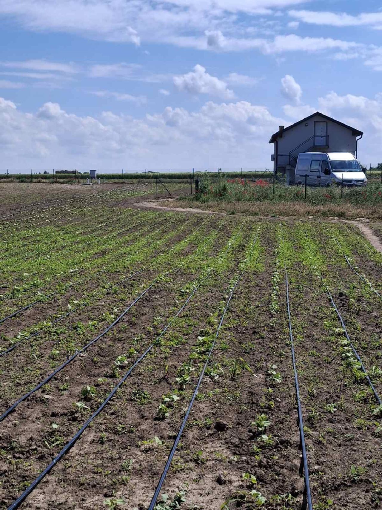 05 Plac Stara Pazova Belegiš Karađorđeva