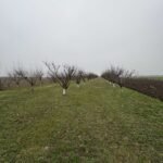 06 Plac Ugrinovci Nova 28