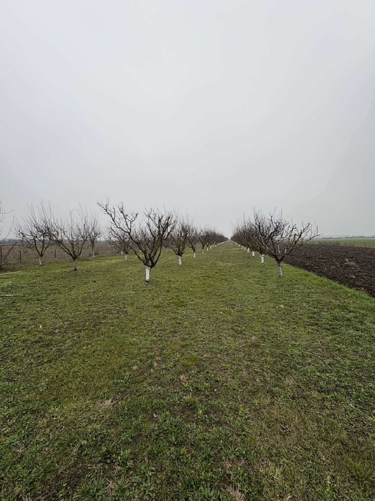 06 Plac Ugrinovci Nova 28