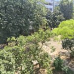06 Stan Blok 29 Bulevar Zorana Đinđića