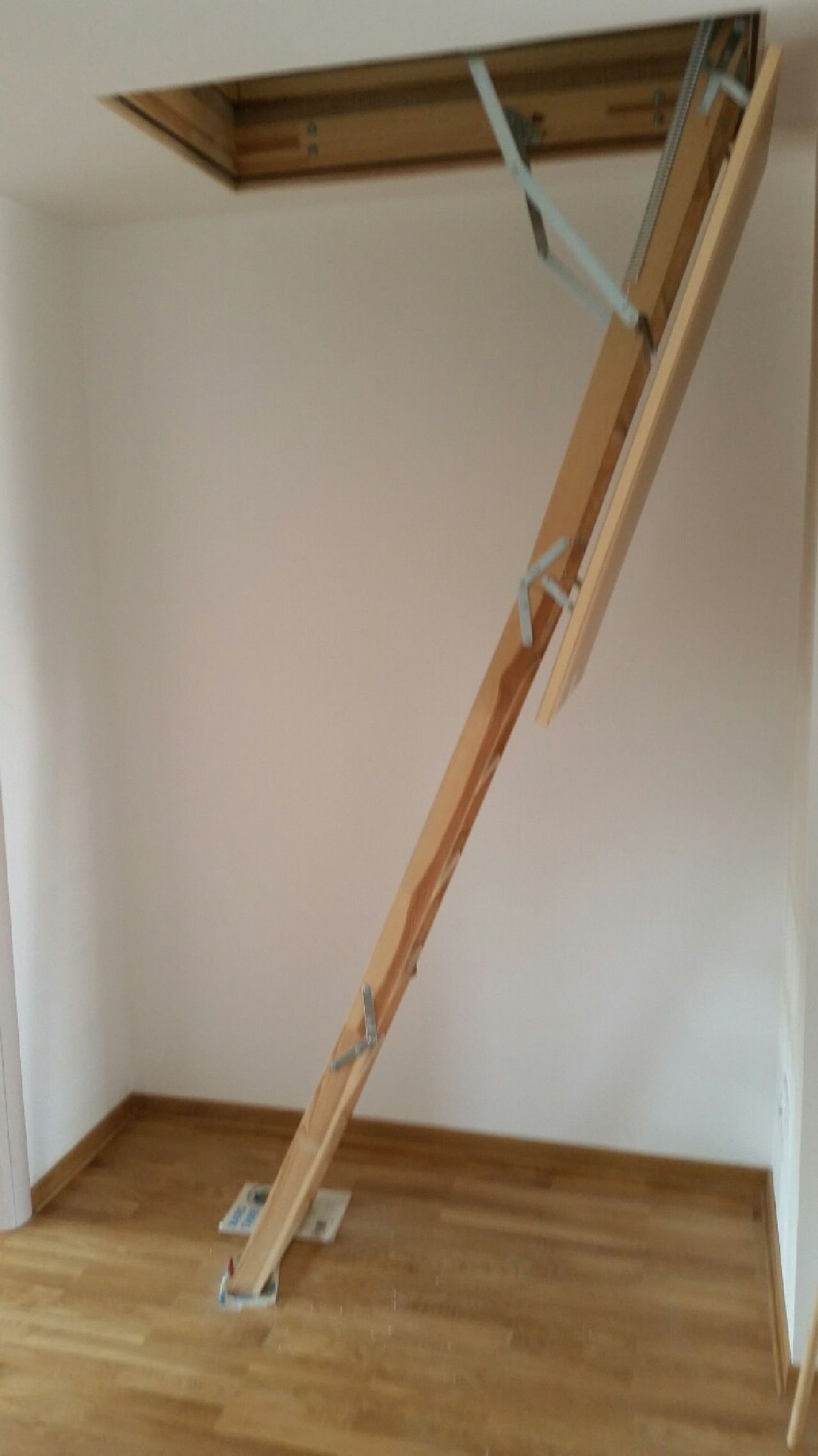 06 Stan Savski Venac Jelene Cvetković