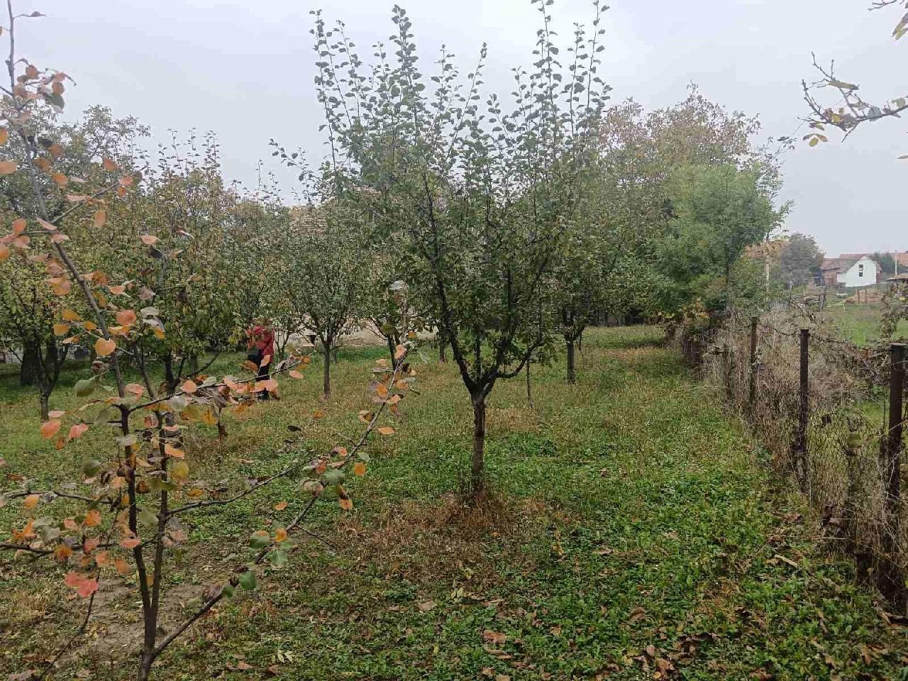 07 Kuća Lisović Ilije I Ivana Trifunovića