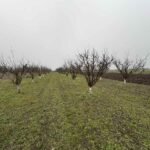 07 Plac Ugrinovci Nova 28