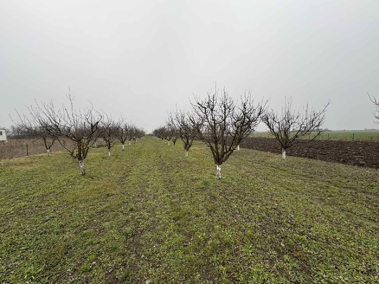 07 Plac Ugrinovci Nova 28