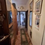 07 Stan Paviljoni Radoja Dakića