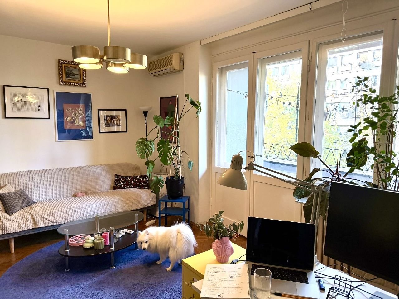 08 Stan Palilula Miročka