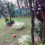 09 Kuća Altina Ugrinovački Put