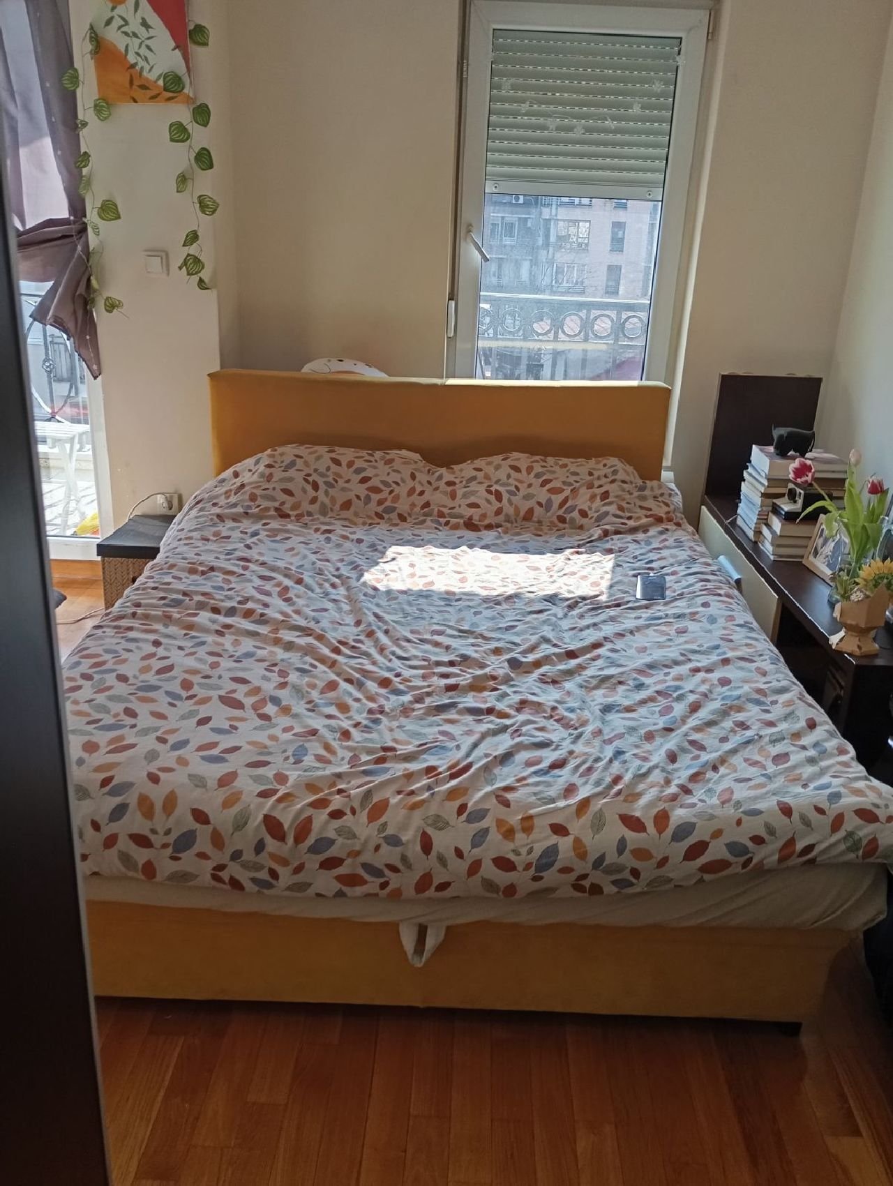 09 Stan Zvezdara Bulevar Kralja Aleksandra