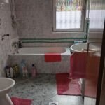 10 Kuća Palilula Zrenjaninski Put