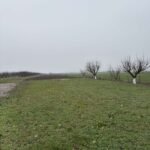 10 Plac Ugrinovci Nova 28