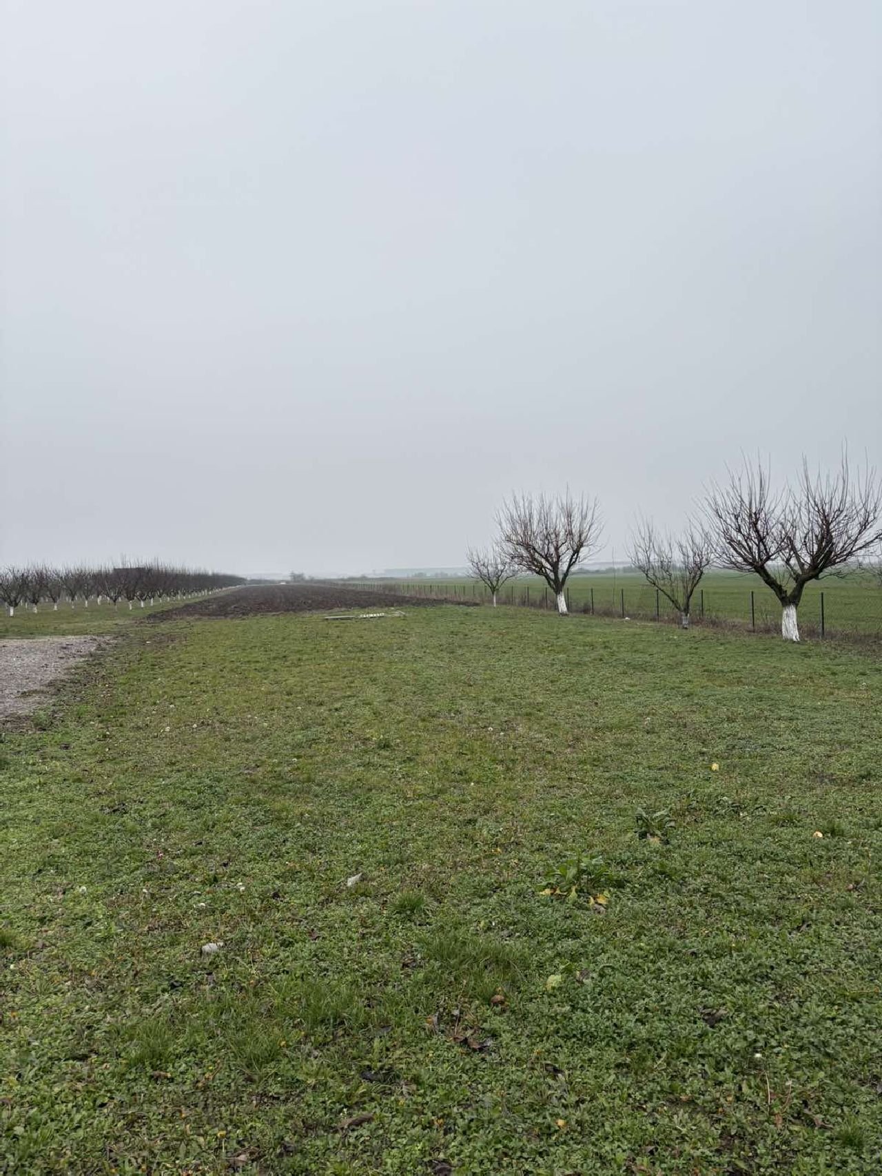 10 Plac Ugrinovci Nova 28