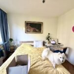 10 Stan Palilula Miročka