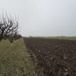 11 Plac Ugrinovci Nova 28