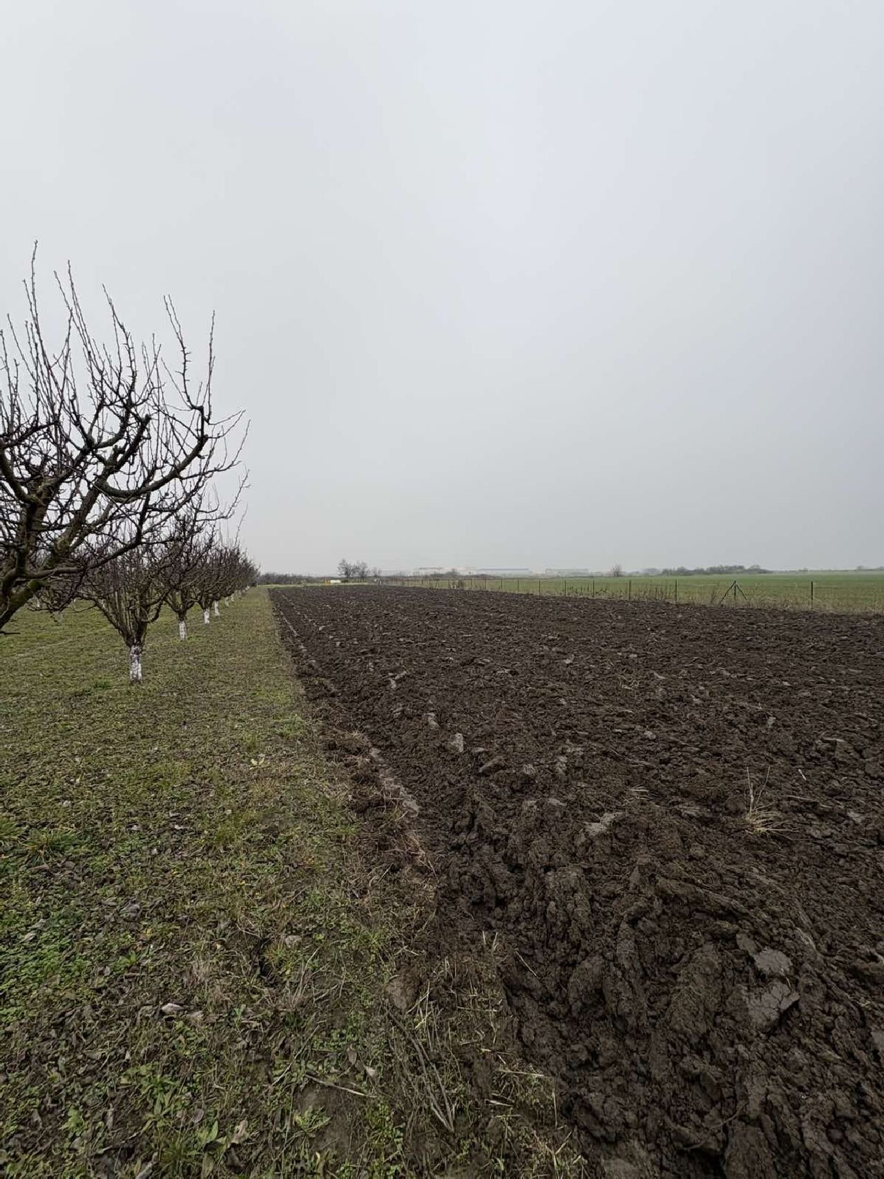 11 Plac Ugrinovci Nova 28