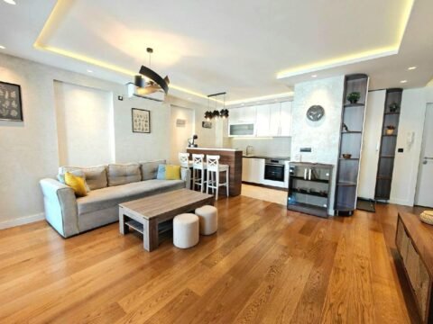 11 Stan Vračar Braće Radovanović