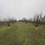 12 Plac Ugrinovci Nova 28