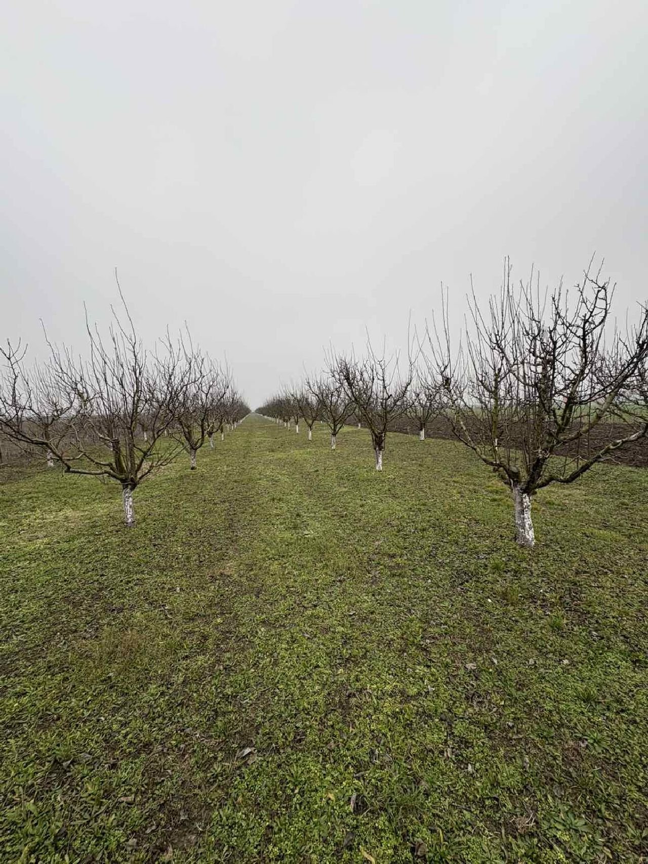 12 Plac Ugrinovci Nova 28