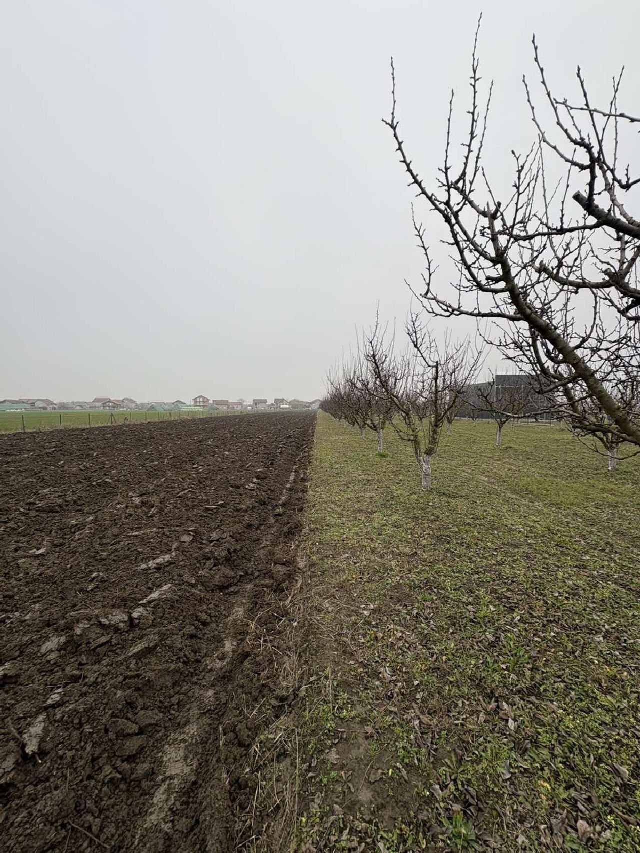 13 Plac Ugrinovci Nova 28